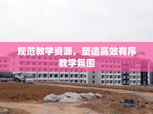 规范教学资源，塑造高效有序教学氛围