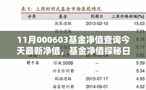 今日揭晓，11月000603基金净值探秘，友情与家庭温暖相伴的温馨净值报告