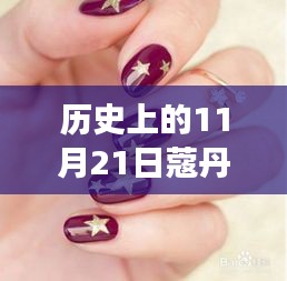 历史上的11月21日蔻丹美甲图片2017最新，历史上的11月21日，蔻丹美甲艺术的演变与影响——以最新美甲图片为例（2017年）