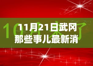 11月21日武冈那些事儿最新消息，武冈日常趣事，11月21日的温暖瞬间