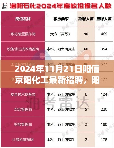 阳信京阳化工最新招聘现象深度解读，探析价值与影响，2024年招聘展望