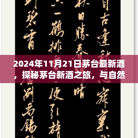 2024年11月21日茅台最新酒，探秘茅台新酒之旅，与自然美景共舞的日子