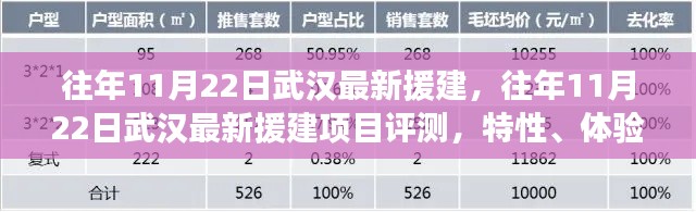 往年11月22日武汉援建项目深度解析，特性、体验、竞品对比及用户群体分析