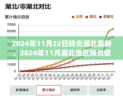 2024年11月湖北地区肺炎疫情最新进展概述