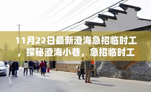 澄海急招临时工背后的独特小店故事，探秘小巷中的秘密招聘日