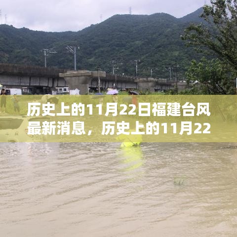 历史上的11月22日福建台风深度解析与案例分析，最新消息综述