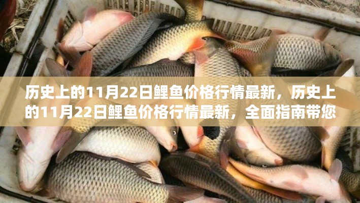 历史上的11月22日鲤鱼价格行情回顾与最新走势全面指南，了解鲤鱼市场的动态变化