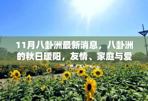 八卦洲秋日暖阳，友情、家庭与爱的温馨日常最新消息