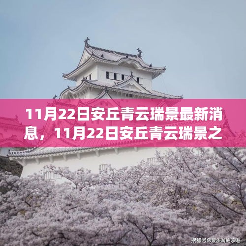 11月22日安丘青云瑞景之旅，探寻自然之美，拥抱内心宁静