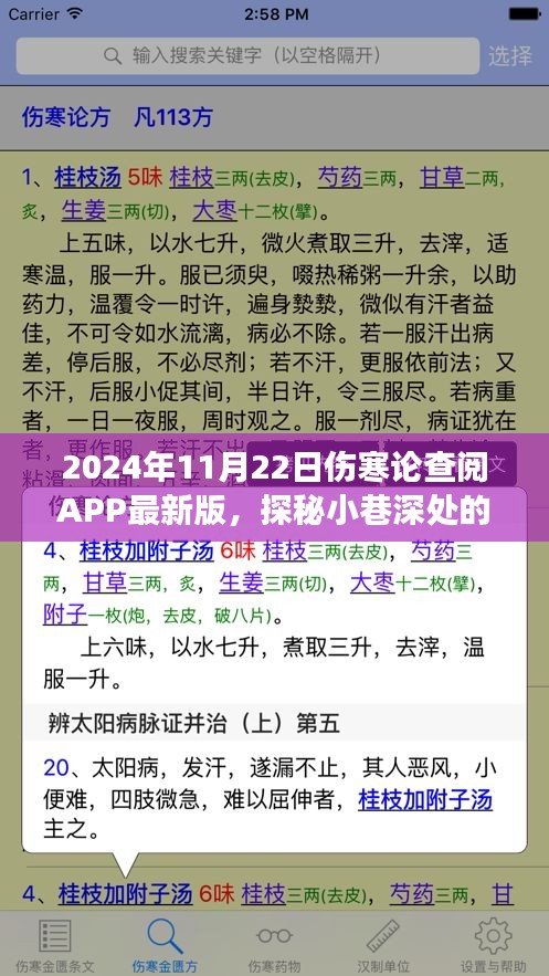 探秘小巷深处的伤寒秘境，体验最新版伤寒论查阅APP的奇妙之旅