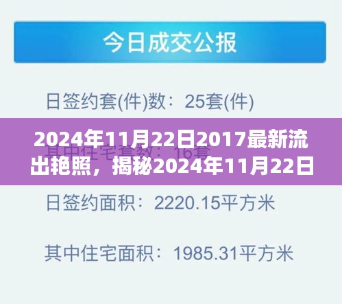 揭秘2024年11月22日艳照流出事件，探索背后的秘密与故事