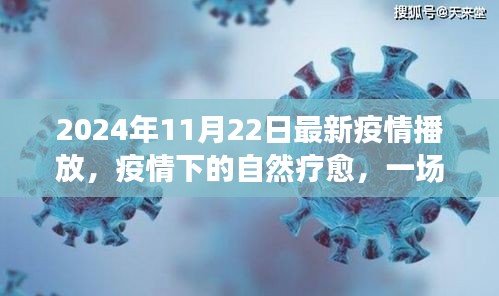 2024年11月22日最新疫情播放，疫情下的自然疗愈，一场寻找内心平静的奇妙旅行，2024年11月22日的美丽新世界