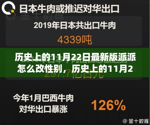 最新版派派社交软件性别修改步骤详解，历史上的11月22日指南