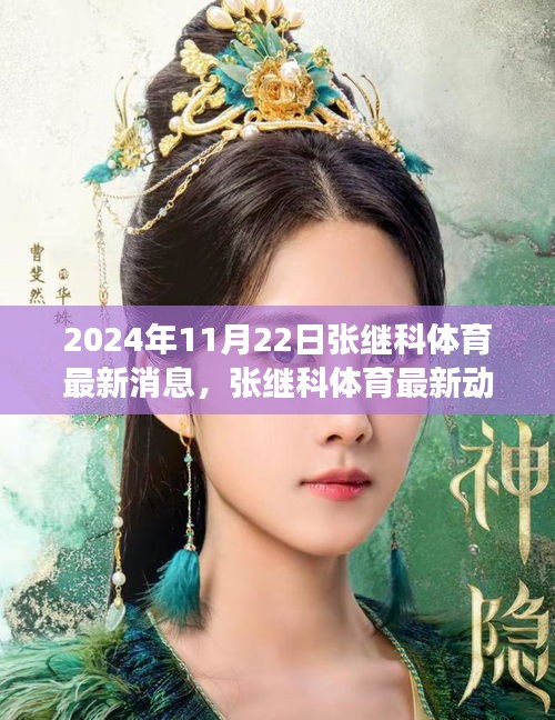 张继科最新体育动态与观点碰撞，2024年11月22日深度解读