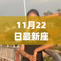 深度解析与评测，最新座签摆放产品指南（11月22日更新）