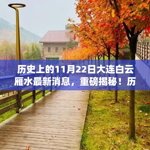 揭秘历史上的11月22日大连白云雁水最新动态与消息重磅