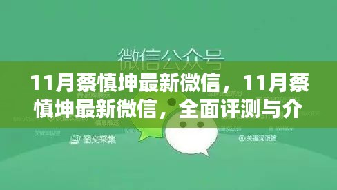 蔡慎坤最新微信评测与介绍，全面解读十一月最新动态