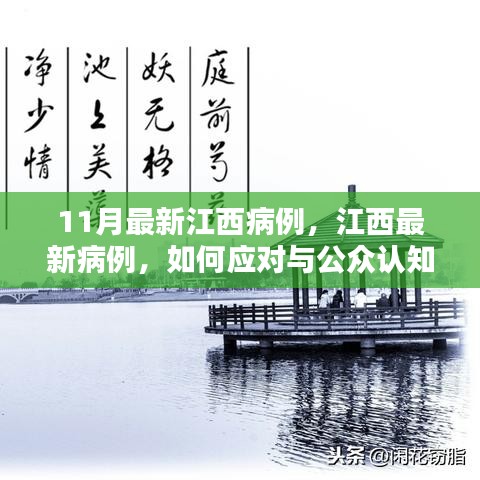 江西最新病例应对与公众认知重塑，11月疫情挑战及应对策略