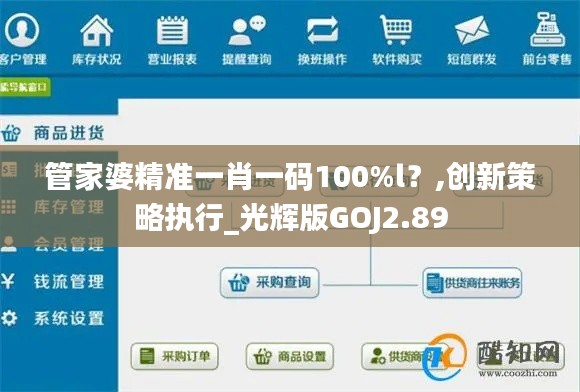 管家婆精准一肖一码100%l？,创新策略执行_光辉版GOJ2.89