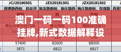 澳门一码一码100准确挂牌,新式数据解释设想_定制版PJM2.30