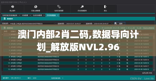 澳门内部2肖二码,数据导向计划_解放版NVL2.96