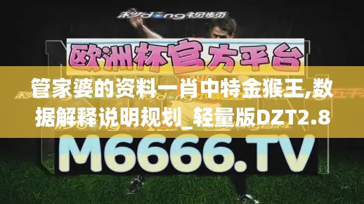 管家婆的资料一肖中特金猴王,数据解释说明规划_轻量版DZT2.86