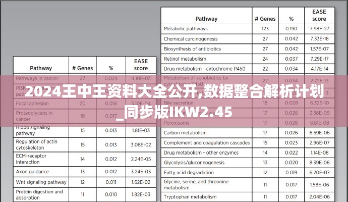 2024王中王资料大全公开,数据整合解析计划_同步版IKW2.45