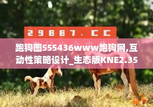 跑狗图555436www跑狗网,互动性策略设计_生态版KNE2.35