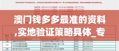 澳门钱多多最准的资料,实地验证策略具体_专业版ERR2.65