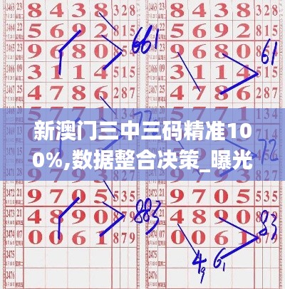 新澳门三中三码精准100%,数据整合决策_曝光版DPD2.18