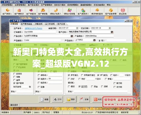 新奥门特免费大全,高效执行方案_超级版VGN2.12