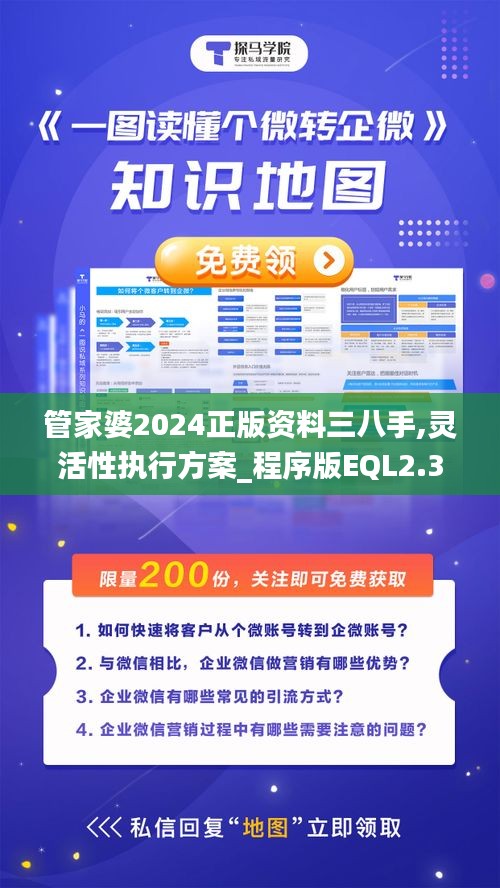 管家婆2024正版资料三八手,灵活性执行方案_程序版EQL2.34