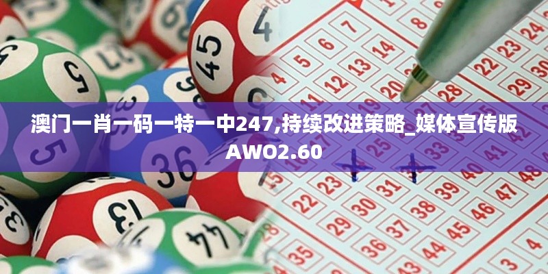 澳门一肖一码一特一中247,持续改进策略_媒体宣传版AWO2.60