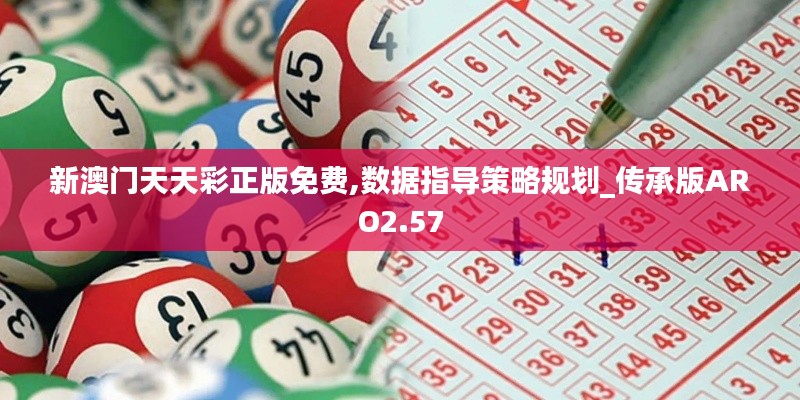 新澳门天天彩正版免费,数据指导策略规划_传承版ARO2.57