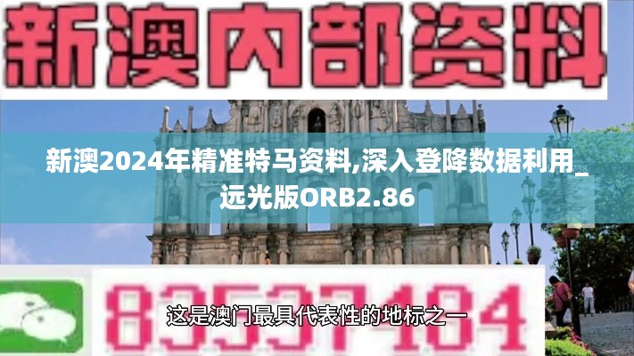 新澳2024年精准特马资料,深入登降数据利用_远光版ORB2.86