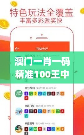 澳门一肖一码精准100王中王,快速处理计划_原创性版YPM2.12