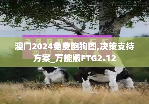 澳门2024免费跑狗图,决策支持方案_万能版FTG2.12