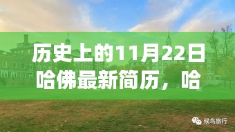 探寻内心平静的奥秘，哈佛最新简历与自然美景的邂逅之旅（历史视角下的11月22日）