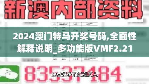 2024澳门特马开奖号码,全面性解释说明_多功能版VMF2.21