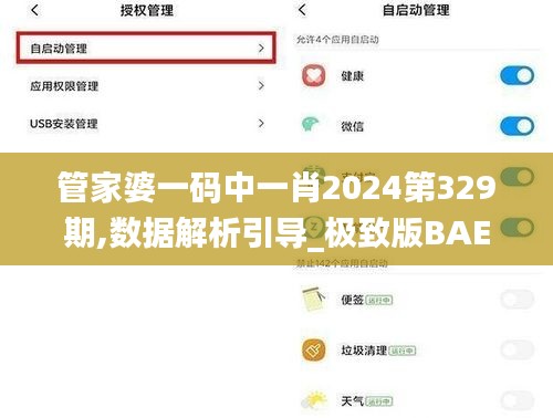 管家婆一码中一肖2024第329期,数据解析引导_极致版BAE11.21