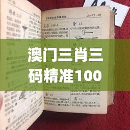 澳门三肖三码精准100%新华字典332期,最新答案诠释说明_零障碍版QES11.53