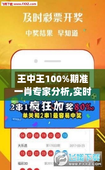 王中王100%期准一肖专家分析,实时处理解答计划_体验版FQZ2.81