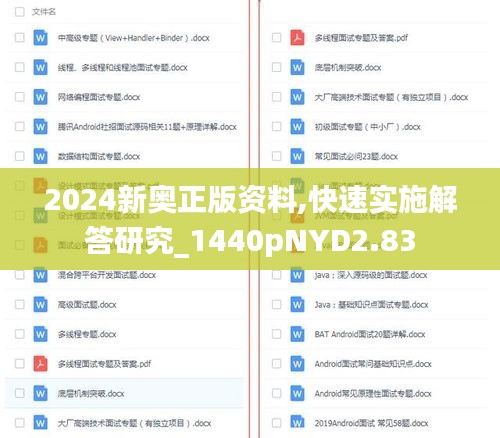 2024新奥正版资料,快速实施解答研究_1440pNYD2.83