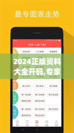 2024正版资料大全开码,专家解说解释定义_钻石版JGX2.73