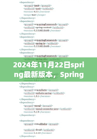 2024年11月22日Spring框架重大更新，开启新纪元