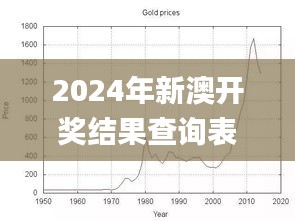 2024年新澳开奖结果查询表,实践数据分析评估_明亮版DDX2.16