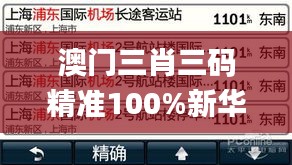 澳门三肖三码精准100%新华字典,决策信息解释_设计师版LJB2.89