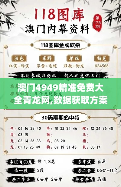 澳门4949精准免费大全青龙网,数据获取方案_模块版TBP2.97