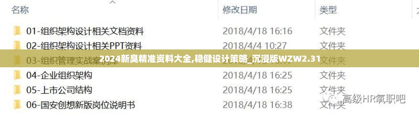 2024新臭精准资料大全,稳健设计策略_沉浸版WZW2.31