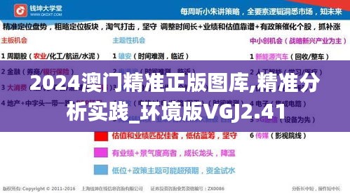 2024澳门精准正版图库,精准分析实践_环境版VGJ2.41